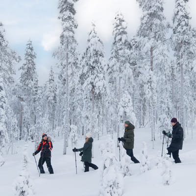 Snowshoe trip to meet reindeer in Rovaniemi - Image 5