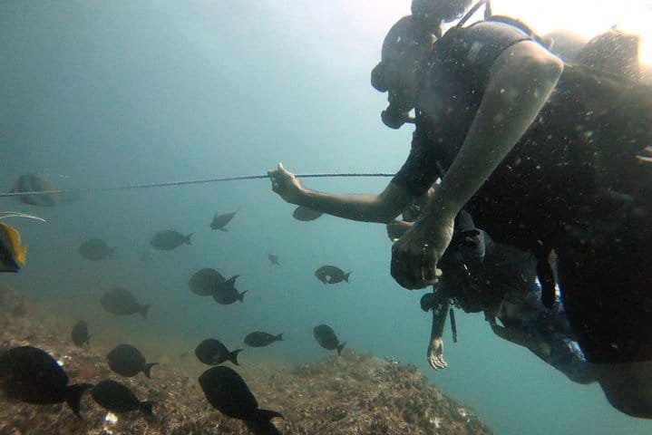 Beginner-Friendly Scuba Diving in Mirissa with Hotel Transfers 7