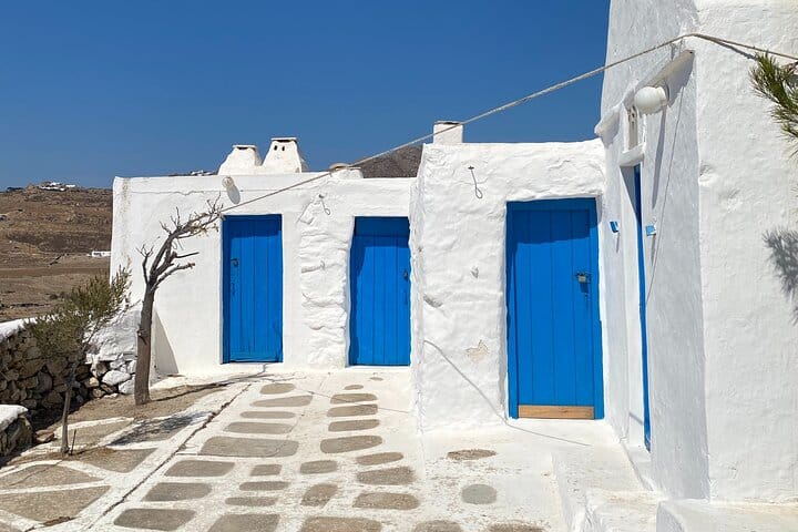 Private Half Day Mykonos Island Shore Excursion Tour With Pick Up 6