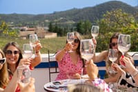 Albufeira Wine Tasting: Boutique Winery Tour & Historic Silves 2