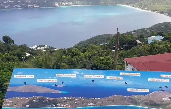 Charlotte Amalie Shopping and Sightseeing Tour in St. Thomas