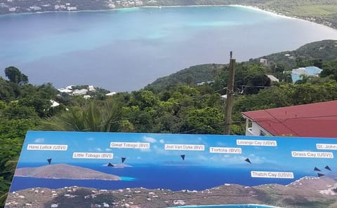 Charlotte Amalie Shopping and Sightseeing Tour in St. Thomas