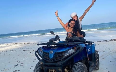 8-Day Safari and Beach Experience in Tanzania and Zanzibar