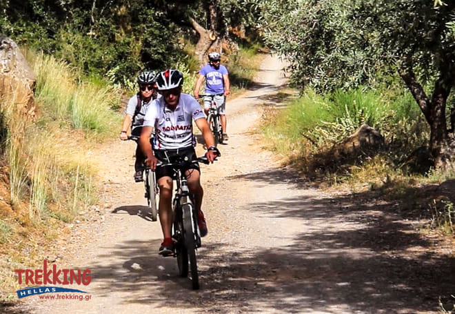 Delphi Ancient Olive Grove Biking photo 5