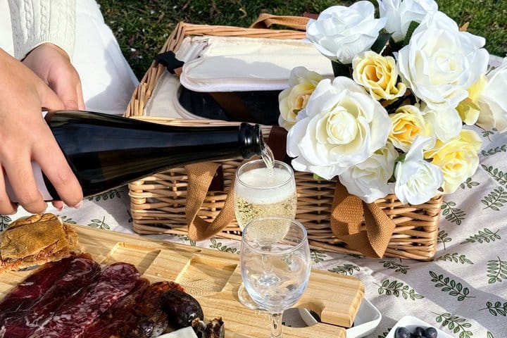Private Chic Picnic Experience in Madrid 6