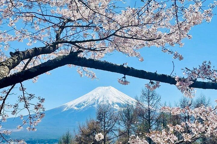 VIP Mt. Fuji & Hakone With Beautiful Lakes Customized Day Tour