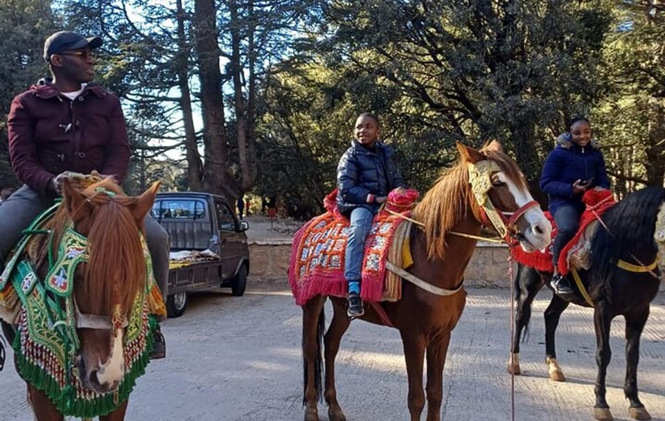 Private Day Trip from Fes to Ifrane and Middle Atlas