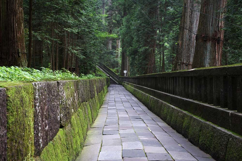 Private Morning Nature Walking Around Nikko Toshogu Shrine