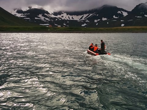 Veiðileysufjörður - Ísafjörður, photo 3