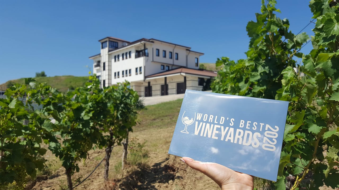 Wine Tasting & More in Villa Melnik – One of the World’s Best Wineries 5