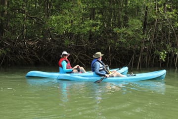 Kayaking and Wildlife Tour in Manuel Antonio Mangroves