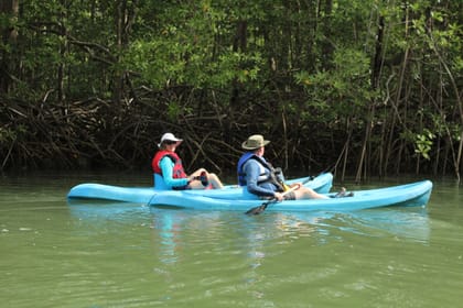 Mangrove Monkey Tour in Manuel Antonio with pick up included