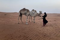 Tour Raqia 7 Days-6 Nights, Oman Tours Package 9