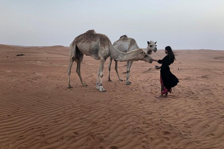 Tour Raqia 7 Days-6 Nights, Oman Tours Package 9