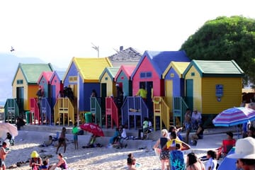 Half Day shared Tour Boulders Beach and Swimming