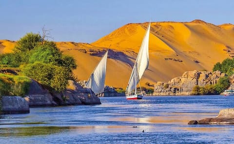 Private Half-Day Cultural Tour of Aswan, Egypt