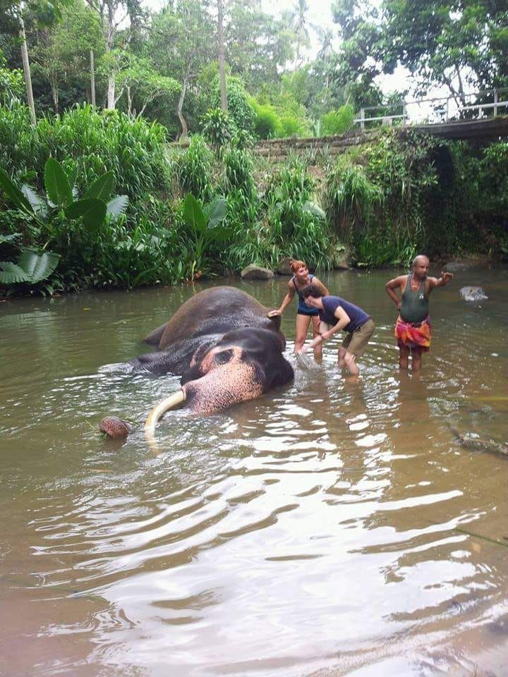 Ceylon Happy Holidays