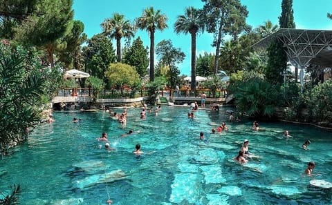 Ephesus and Pamukkale Day Tour from Kuşadası or Selçuk
