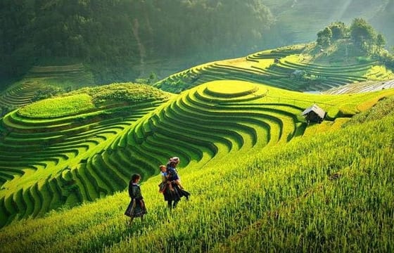 Sapa Remote Trekking 3 days 2 nights