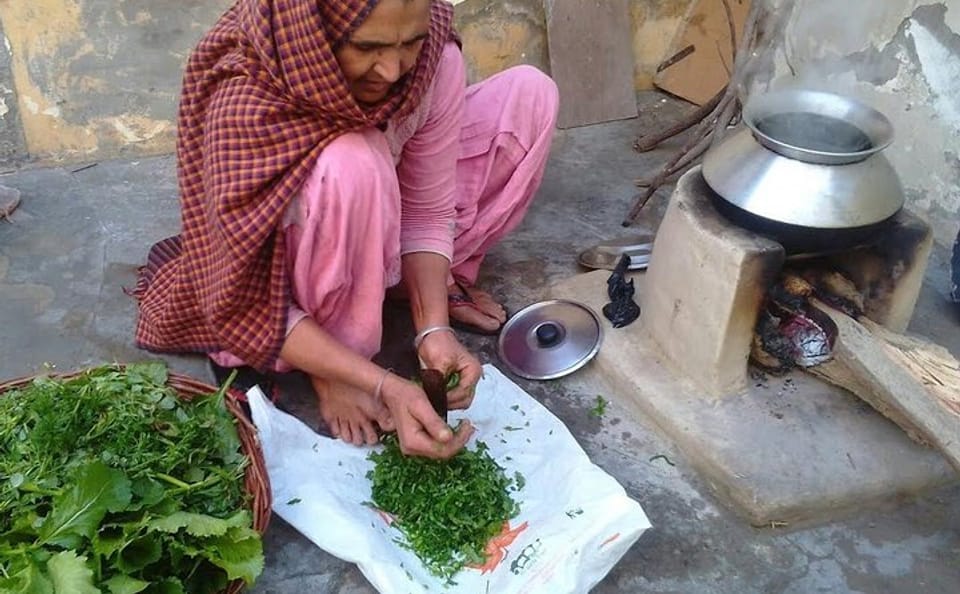 Indian Village Cultural Full Day Private Tour