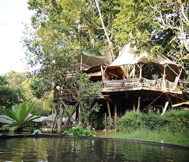 Nanyuki Overnight Safari - Ol Pejeta Conservancy  7