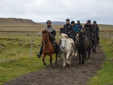 Golden Circle Horseback Riding Tour