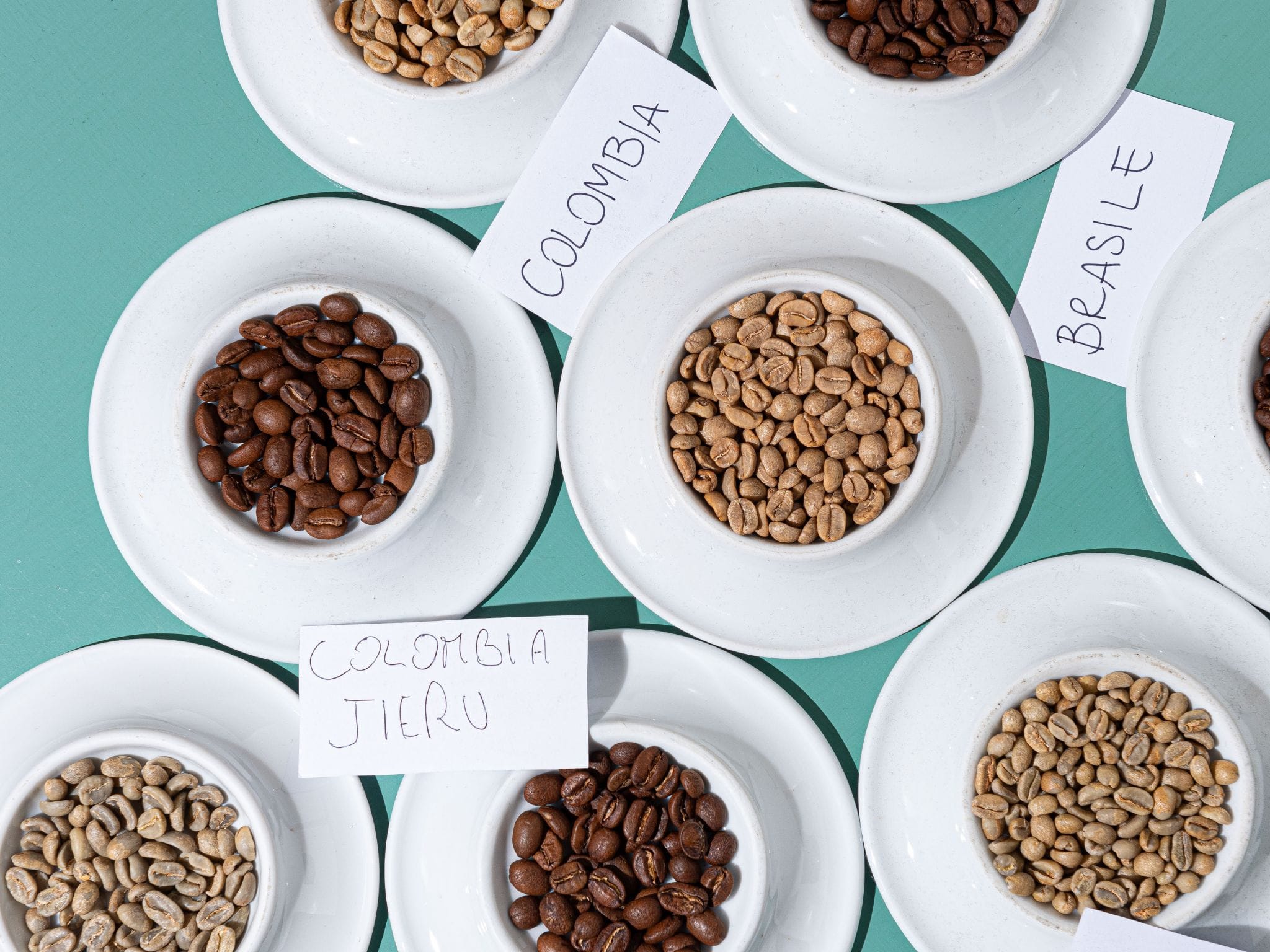 Specialty Coffee Workshop & Tasting Experience in Rome