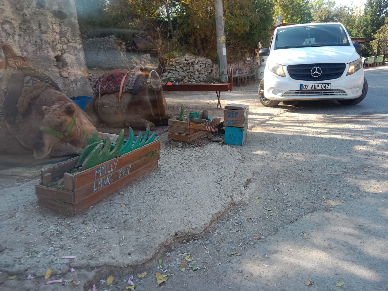 Private Antalya Transfer