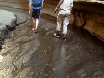 Lake Naivasha and Hells Gate Small Group Day Tour from Nairobi