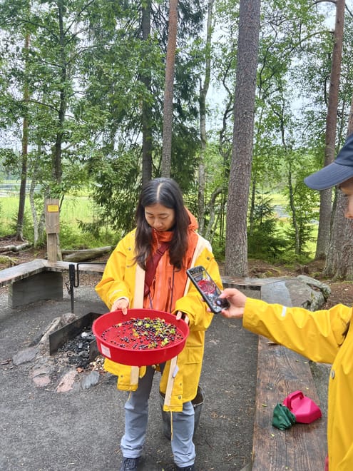 Berry Picking in a National Park photo 6