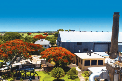 Mauritius: North Island Tour with Entry Tickets