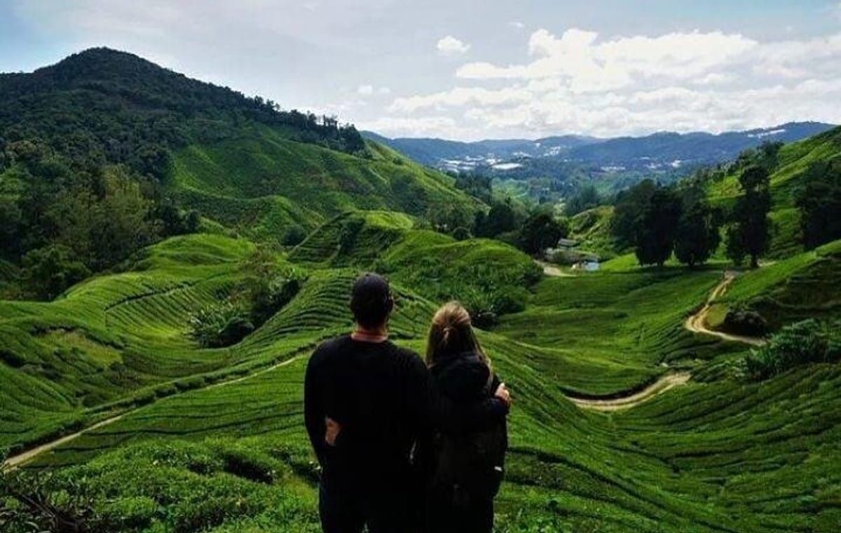 Cameron Highlands Day Tour from Ipoh with lavender garden and tea plantation
