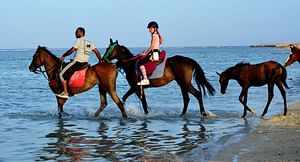 Horse Riding (Desert and the Beach) in Hurghada