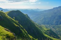 Ella & Little Adam's Peak Tour from Kandy  4