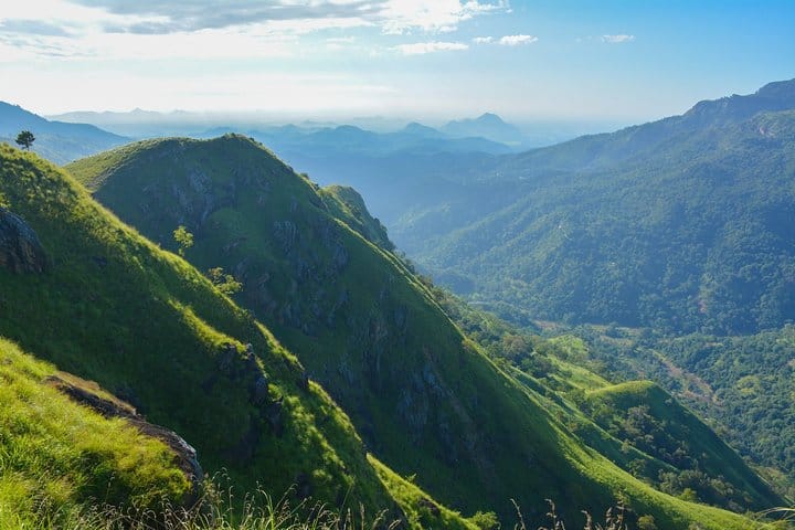 Ella & Little Adam's Peak Tour from Kandy  4