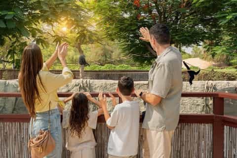 Dubai: Safari Park, Your Ultimate Wildlife Adventure!