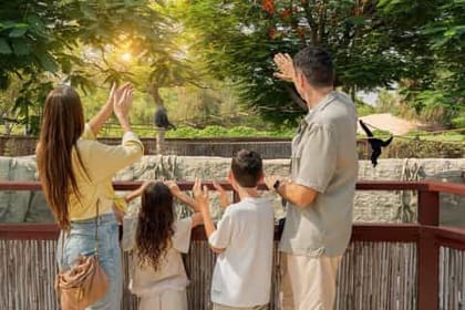 Dubai: Safari Park, Your Ultimate Wildlife Adventure!