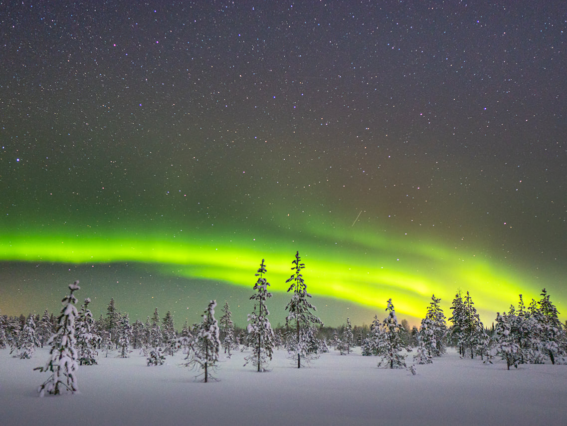 Evening Snowshoeing to Search for the Northern Lights in Levi 4