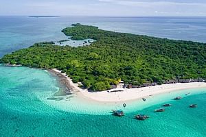 Full-Day Blue Lagoon and Sandbank Boat Tour from Zanzibar