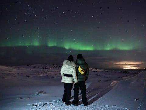 Couple holding hands while admiring the northern lights