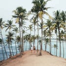 Mirissa Whale Watching Tour From Negombo  4