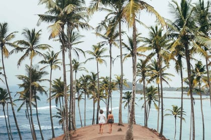 Whale Watching Tour in Mirissa from Negombo