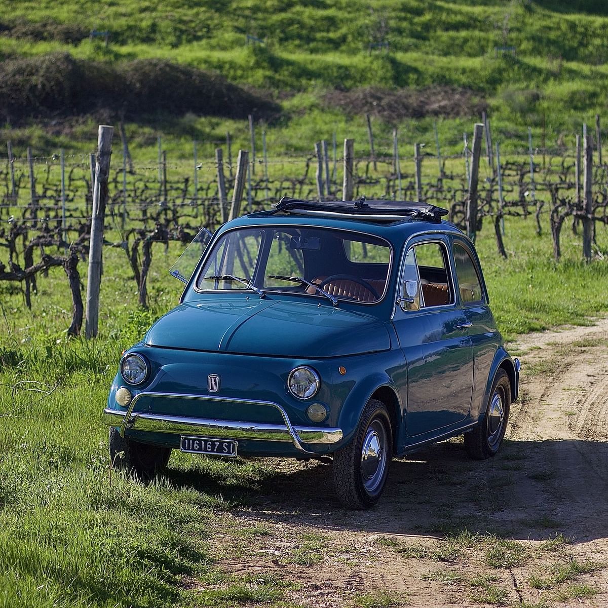 BUONGIORNO FIAT 500! Classic Guided Wine Tour in Chianti Wine Region included Tuscan Lunch and tasting (6 hrs)