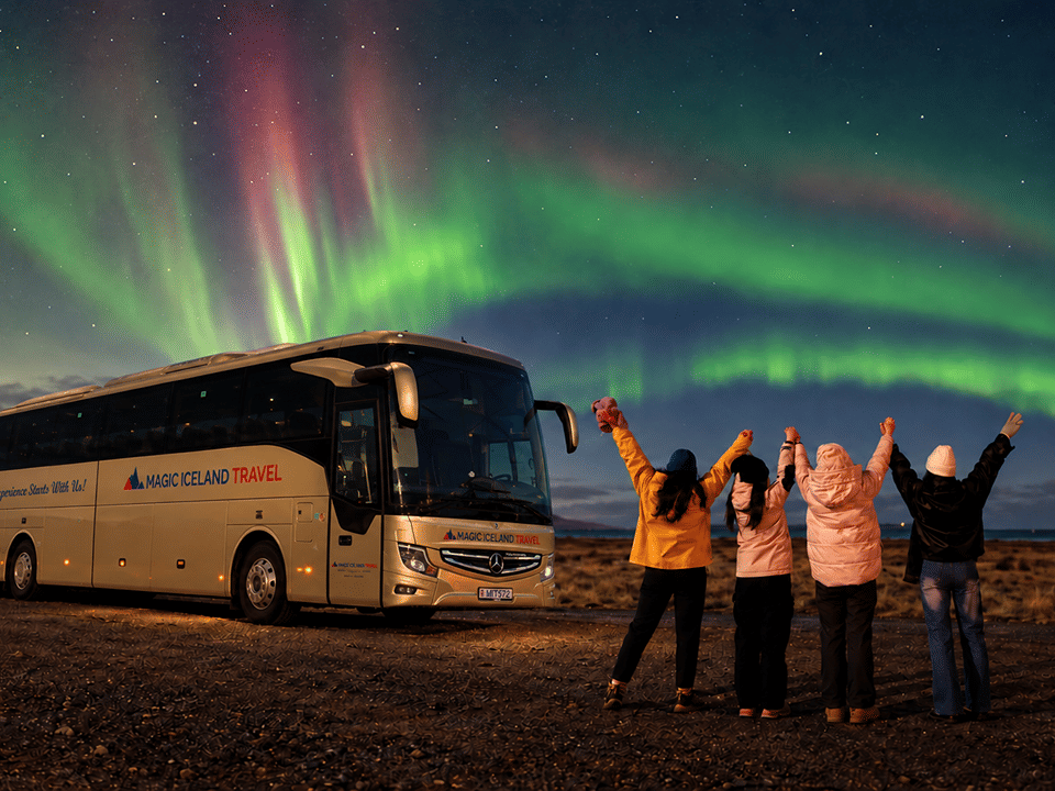 Northern Lights Tour Led by Local Hunters — Magic Iceland Travel