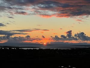Midnight Sun Safari