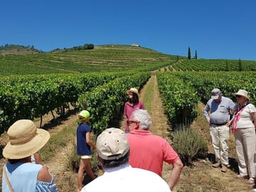 Wine estate Pinhão