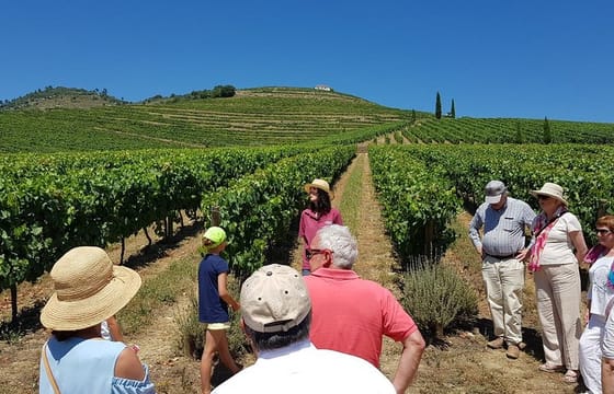 From Porto: Douro Valley Historical Tour with Lunch Winery w/ Tastings and Cruise