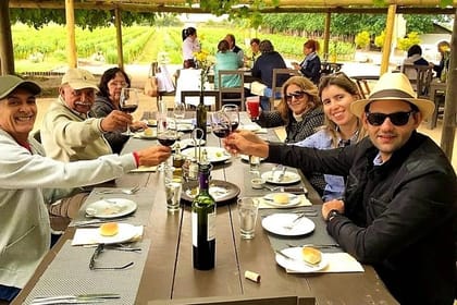 Private Premium Gastronomic Experience in Santiago