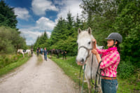Horse riding in the Burren. Clare. Guided. 3 hours 8