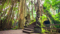 Ubud Scenic Tour with Jungle Swing 10